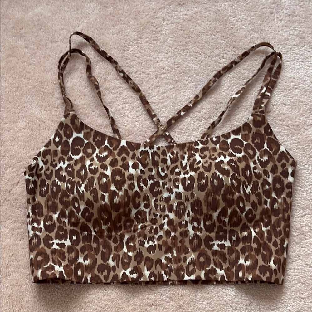 Aerie Leopard Print Crop Top